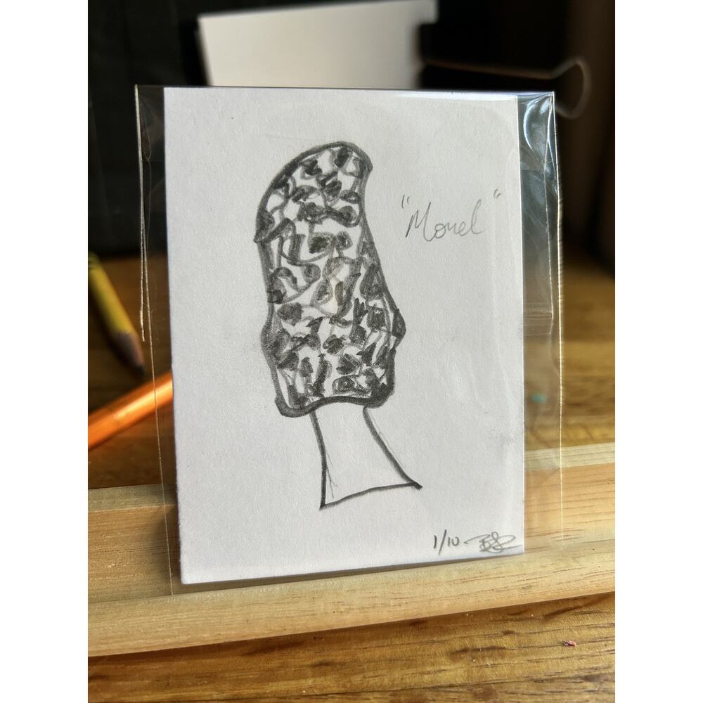 ACEO ART CARD ORIGINAL CUTE Nature Foraged Morel Mushroom 2.5”x3.5” Signed